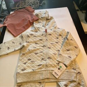 Carters Gray dinosaur  Zip-Up Hoodie with shirt and pants 12 months